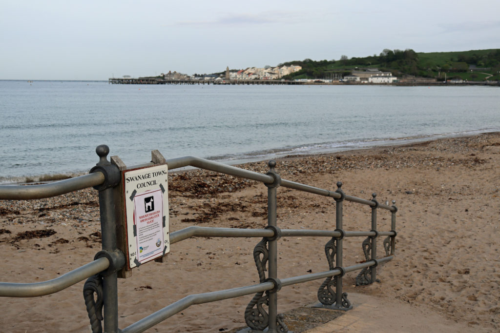 Swanage beach dog restriction sign