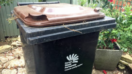 Brown lid garden waste bin