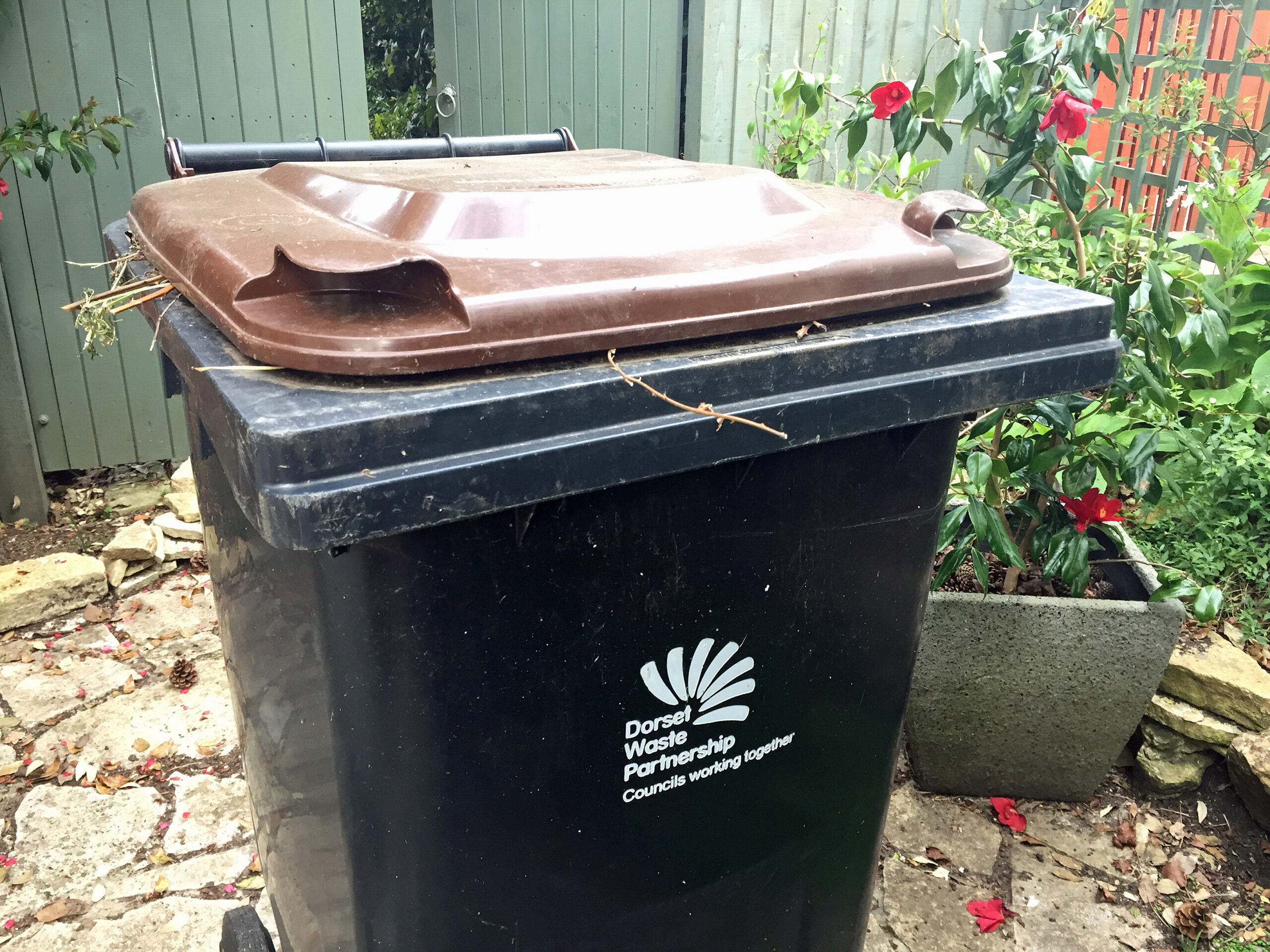 Dorset Bin Collections And Local Tip Expected To Be Largely Unaffected By New Lockdown Swanage News
