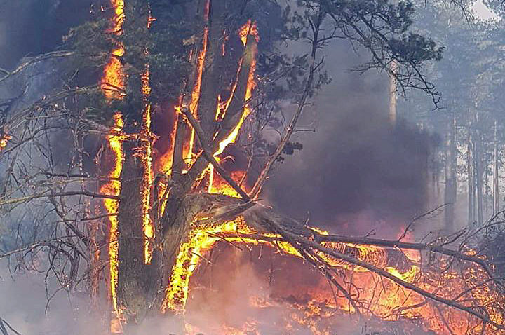 Wareham Forest fire
