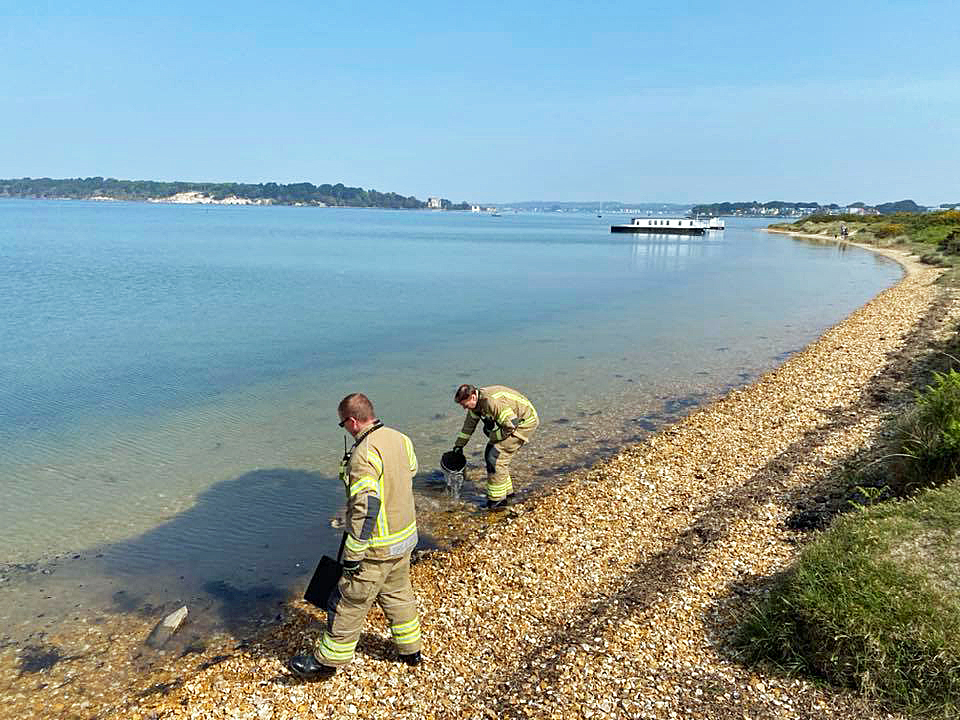 Shell Bay Beach fire extinguished by Swanage fire crew