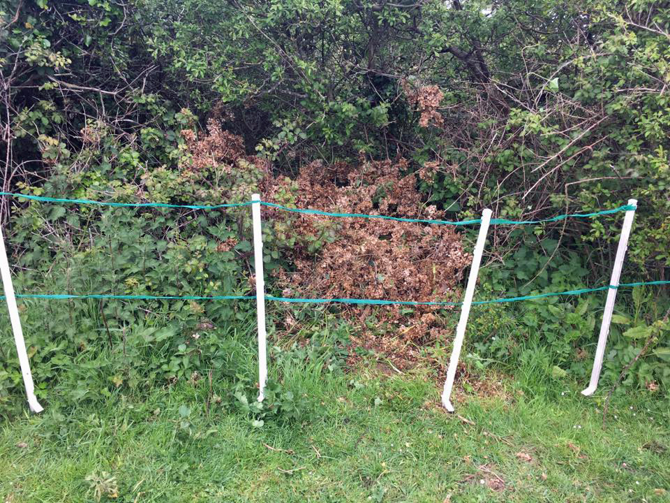 Fly tipping at Townsend Nature Reserve in Swanage