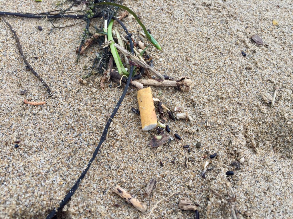 Cigarette on beach
