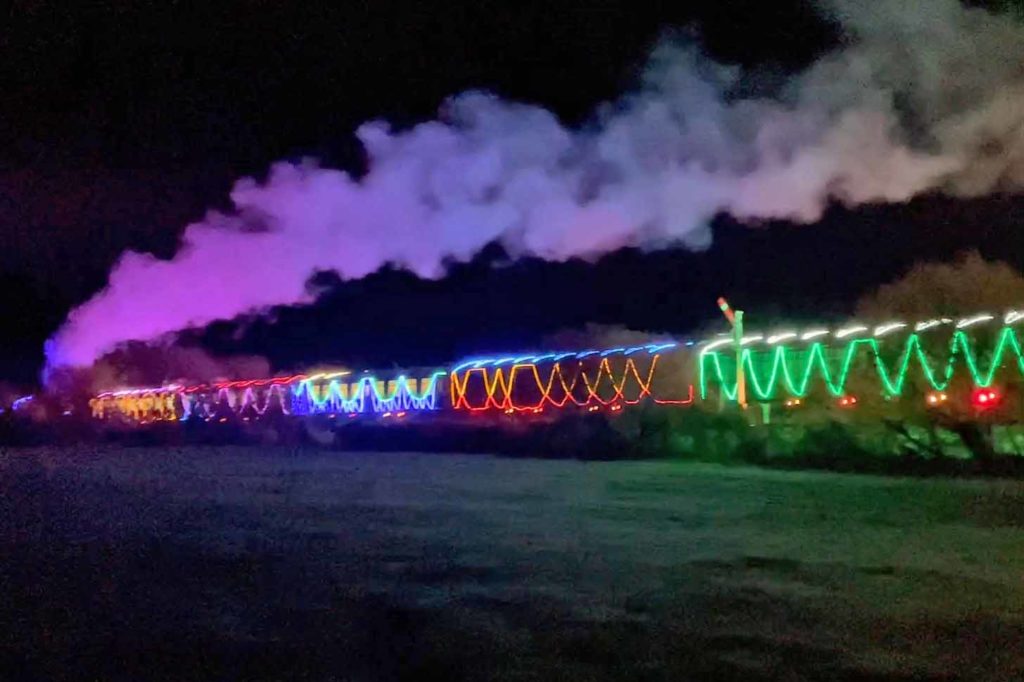 The Steam and Lights train