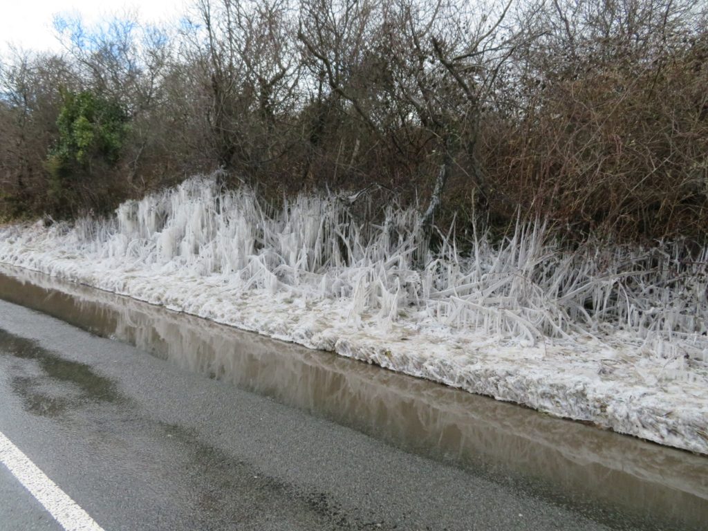 Icicles at Studland