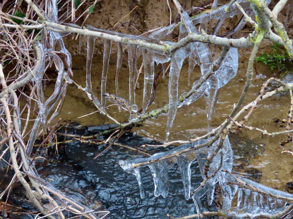 Icicles at Washpond Lane in Swanage