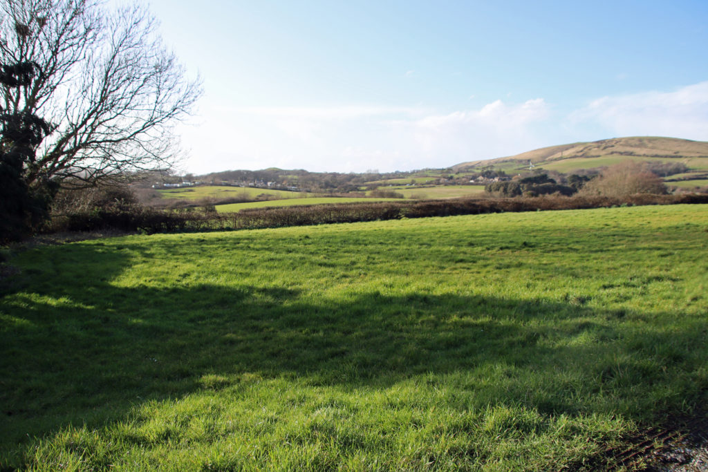 One of the fields in Swanage, where housing in proposed