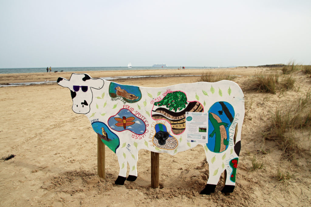 Cow information board at Studland