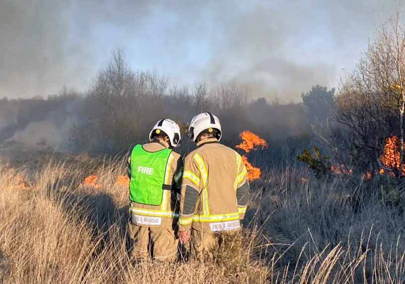 Heath fire near Wimborne