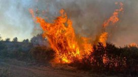 Heath fire near Wimborne