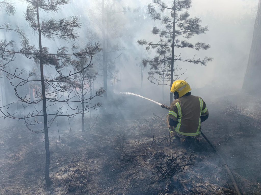 Firefighter tackling the Wareham Forest Fire