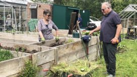Gardens at the Greengage Project