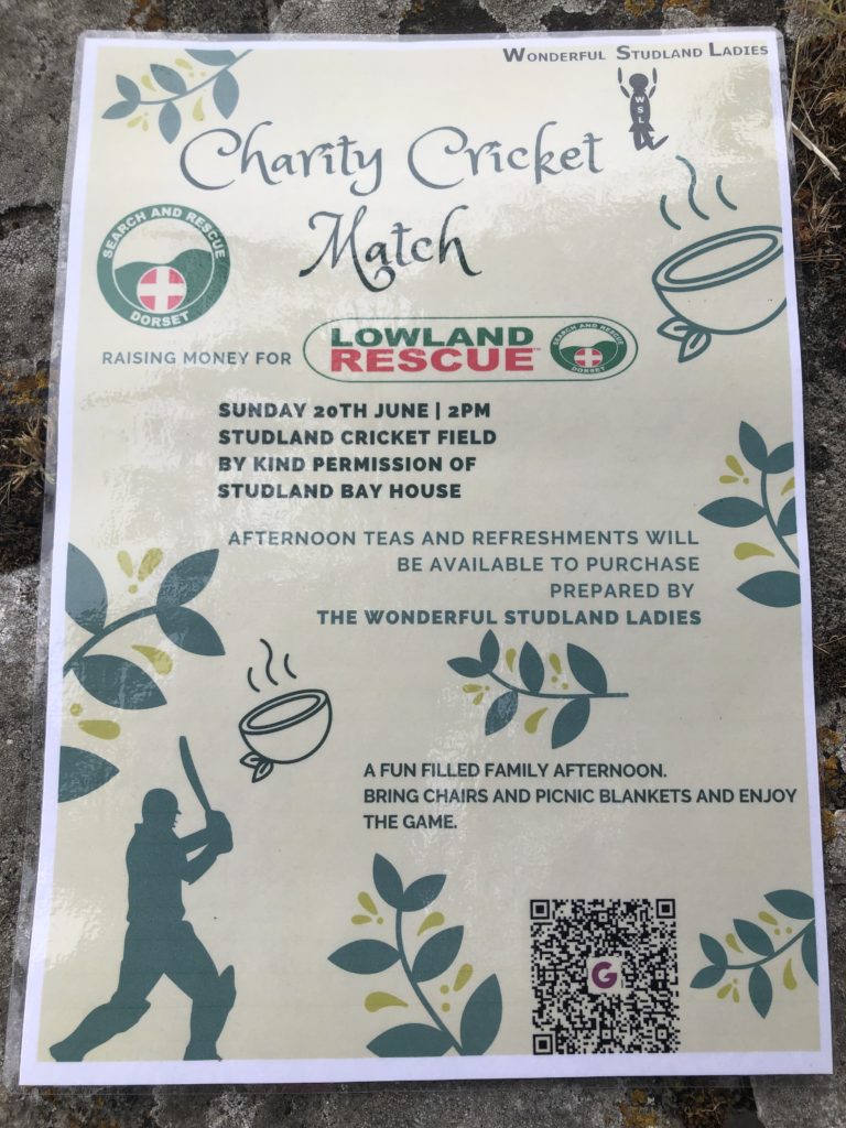 Cricket match poster
