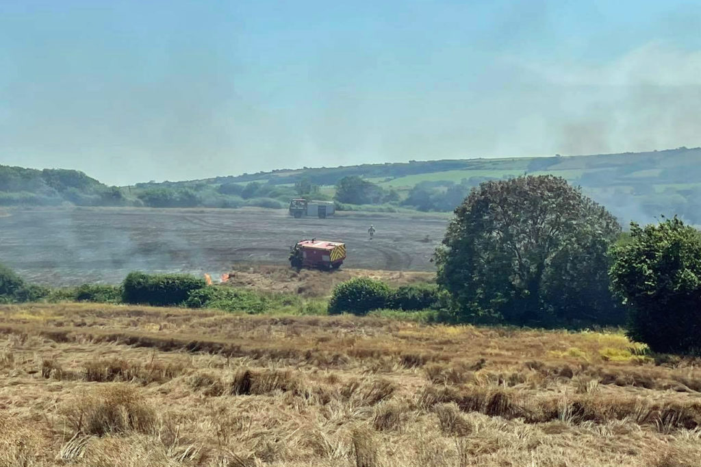 Fire in a farmer's field