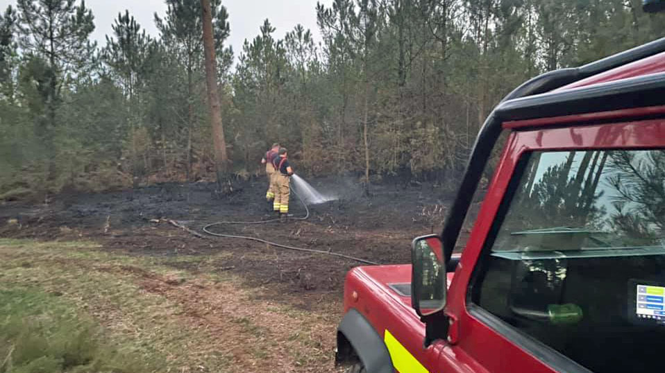 Fire in Wareham Forest being extinguished by firefighters