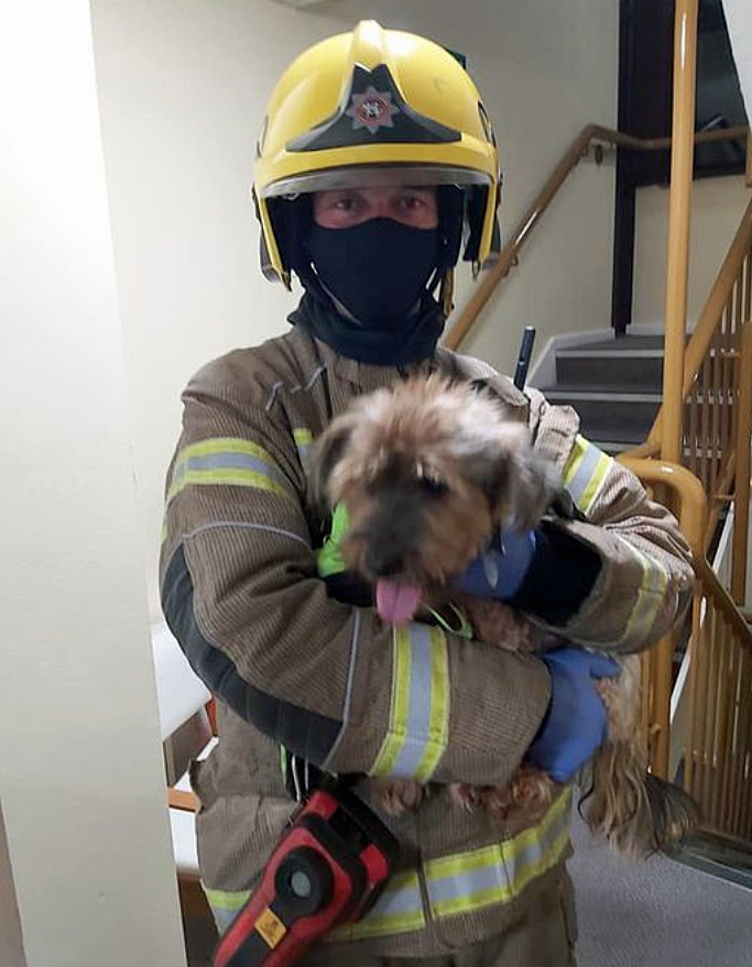 Swanage Fire crew with rescued dog
