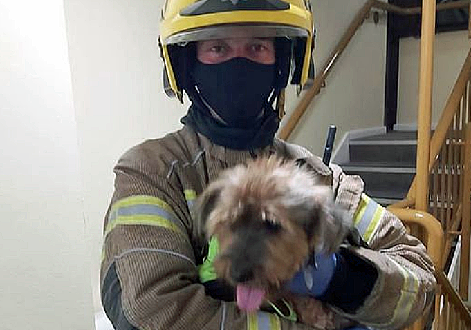 Swanage Fire crew with dog