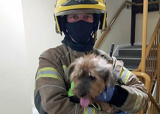 Swanage Fire crew with dog