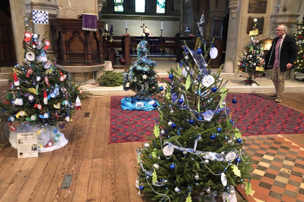 Purbeck Christmas Tree Festival