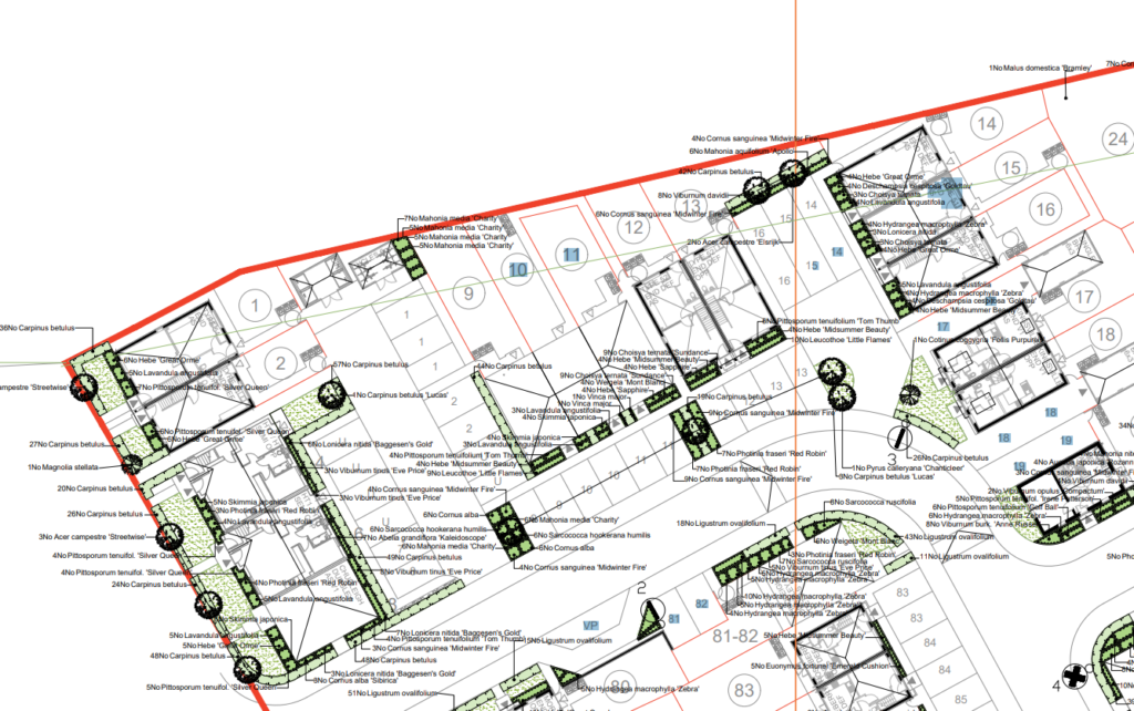 Plan of the landsaping at the grammar school development