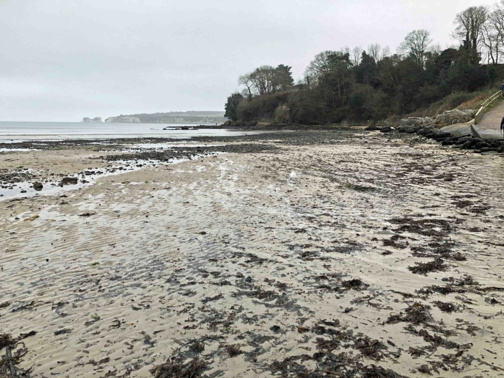 Middle Beach in Studland at low tide