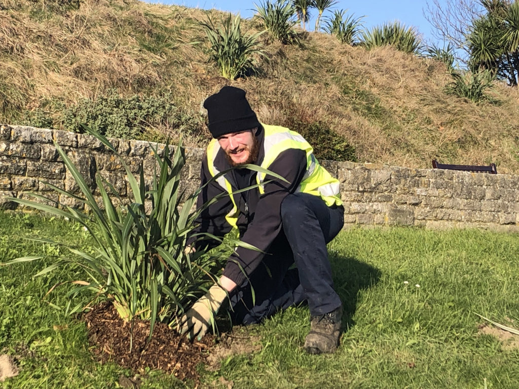 Planting out new shrubs in Swanage