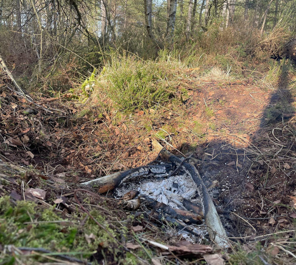 Camp fire in Wareham Forset 