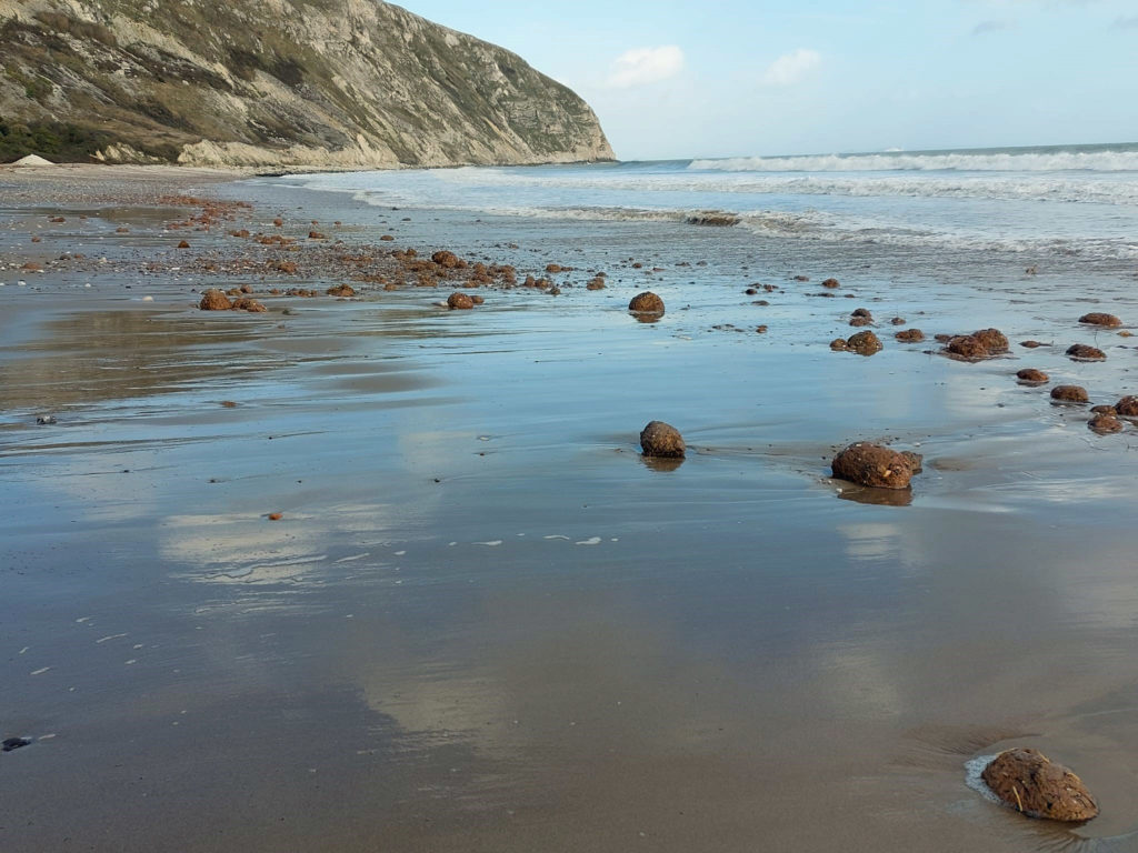 Mud on the beach in Swanage
