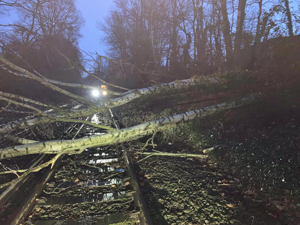 Tree blocks the rail track at Netley near Southampton