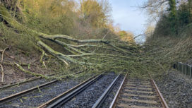 Tree blocks train track at Winchester