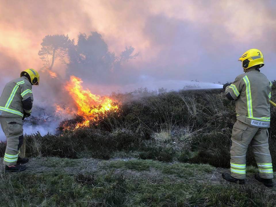Crews tackle the fire at Canford Heath
