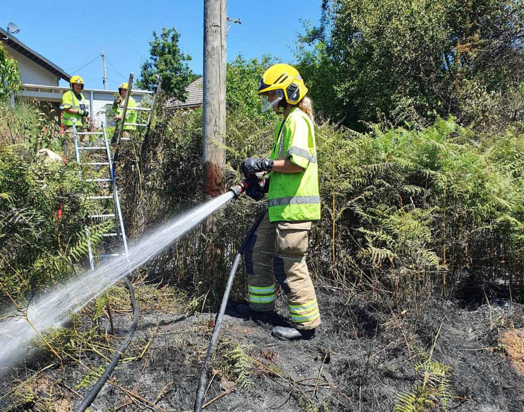 Swanage Fire crew called out to embankment fire