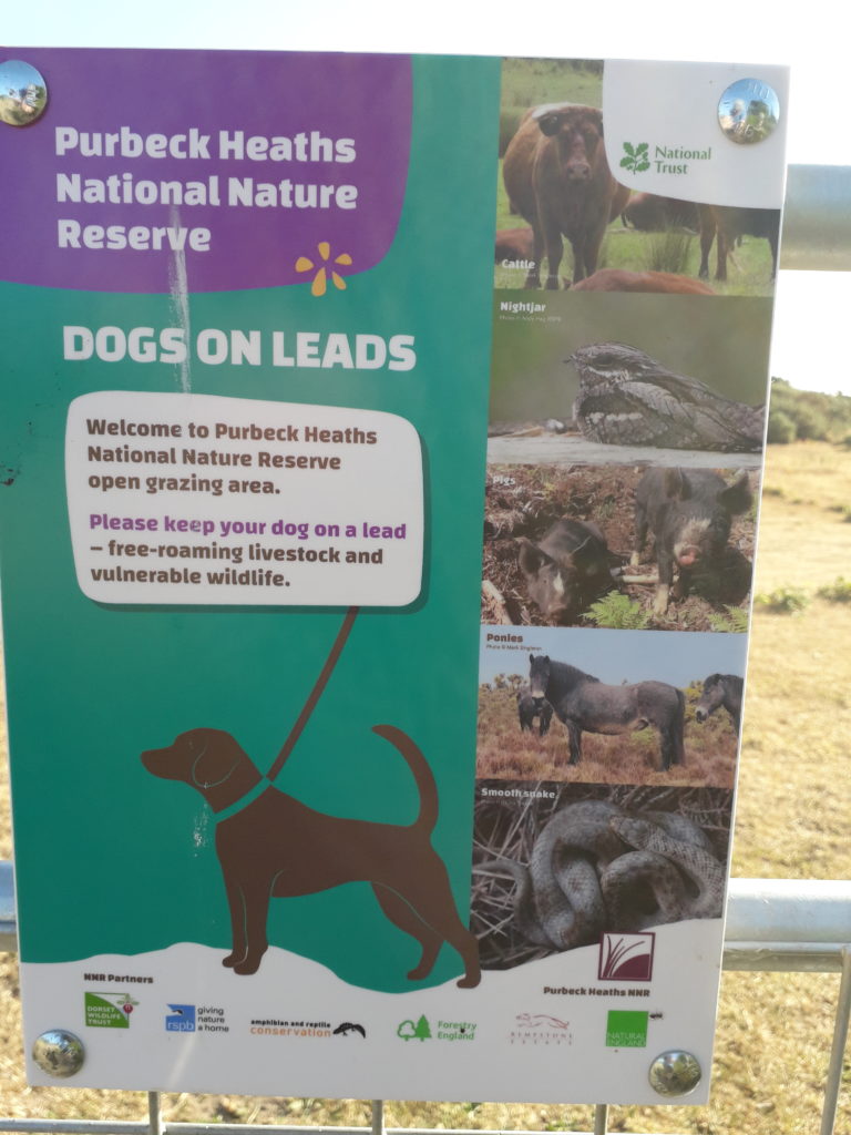 National Trust dog walking signs