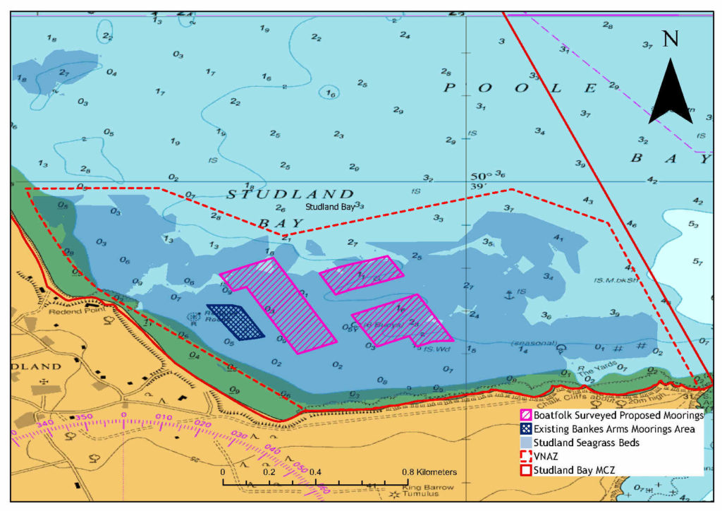 Studland Bay map of seagrass and possible eco-mooring areas