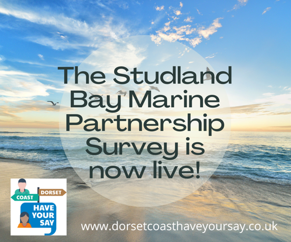 Studland marine survey poster