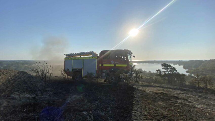 Damping down Studland Heath fire