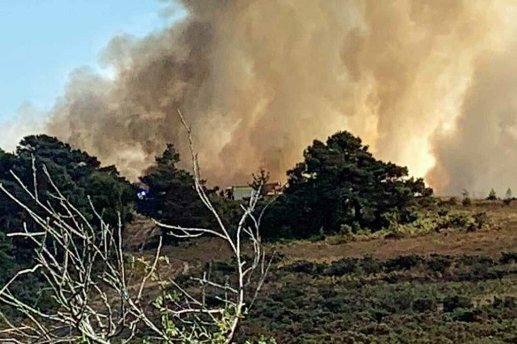 Studland Heath Fire