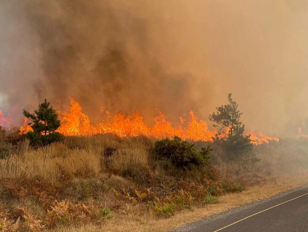Studland Heath fire