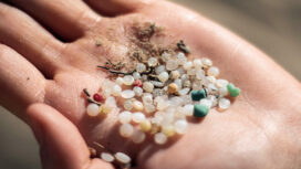 Tiny plastic pellets called nurdles are an almost invisible killer on sea shores
