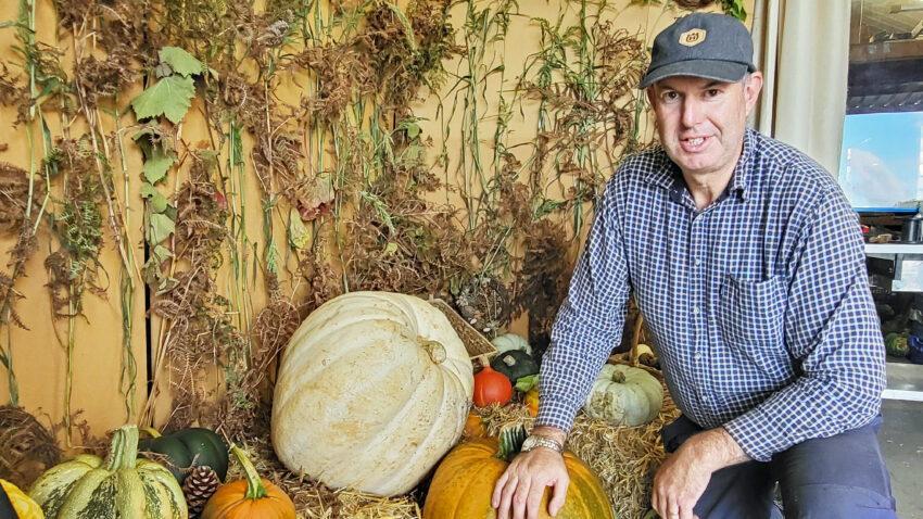 Andrew Sinclair farmer with pumpkins at Lectenbury Farm