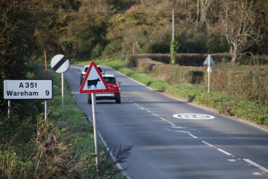 New 30 mph signs on road into Swanage