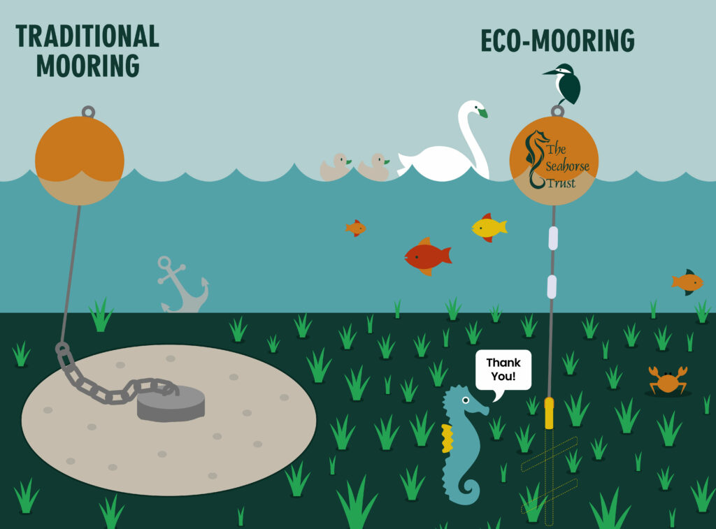 The differences between anchor and chain moorings and the new eco moorings