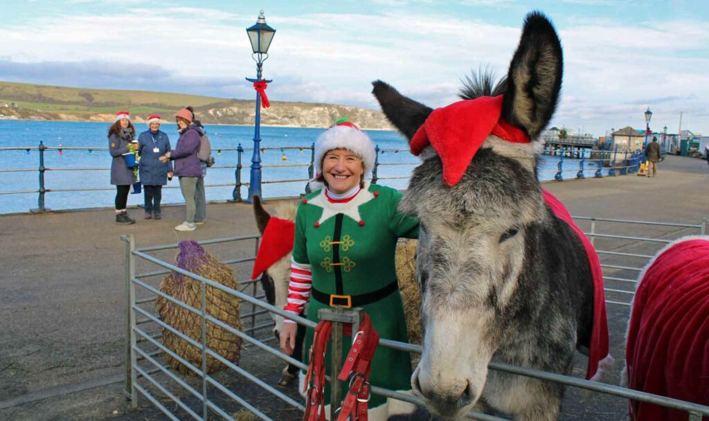 Donkeys on the Pier 2022 at Christmas