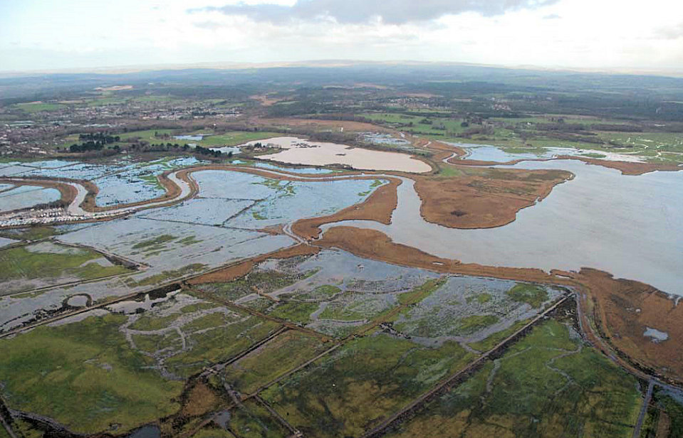 A birdseye view of the Arne site showing the path ofthe River Frome