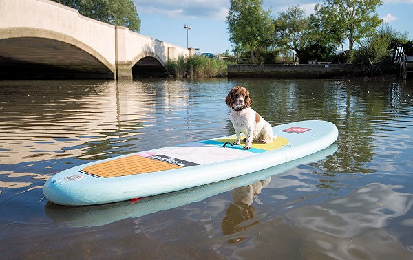 Even four-legged customers have given the paws up to paddleboarding