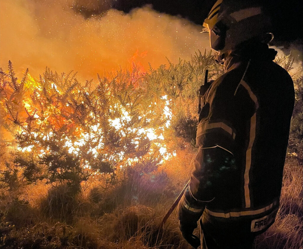 Gorse in flames as another heathland fire has to be brought under control
