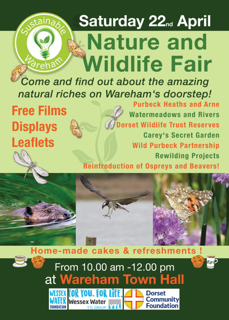 Sustainable Wareham poster