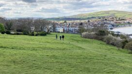 Swanage Downs local nature reserve launch