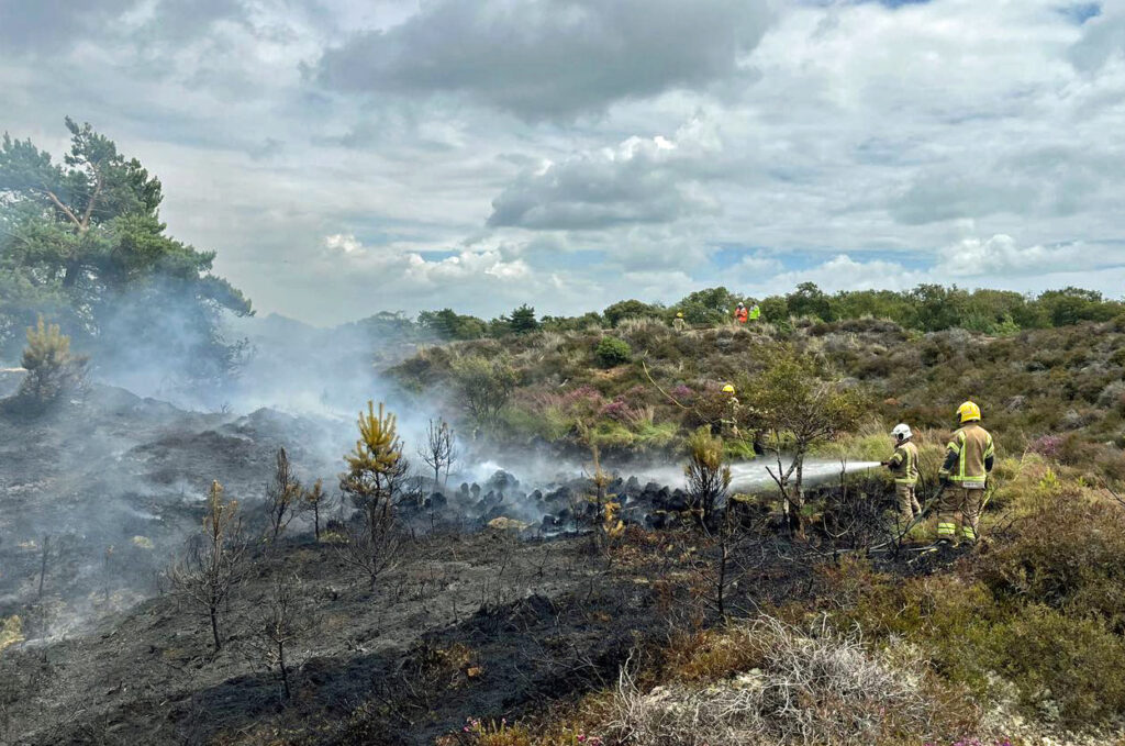 Firefighters tackling a fire in Studland