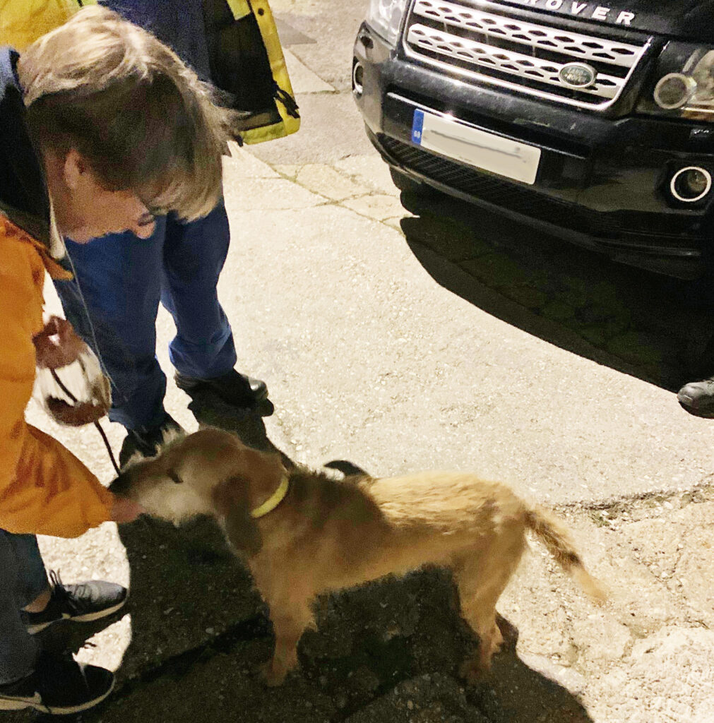 Lucy the dog reunited with owner